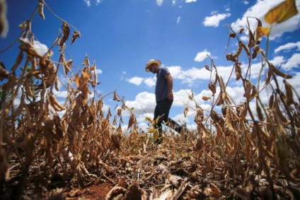 CNA defende a suplementação de R$ 2,1 bilhões ao Seguro Rural em 2024