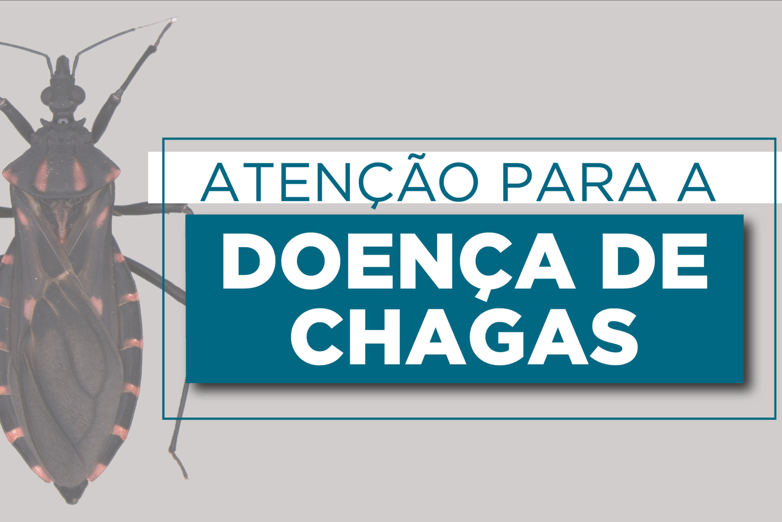 doença de chagas