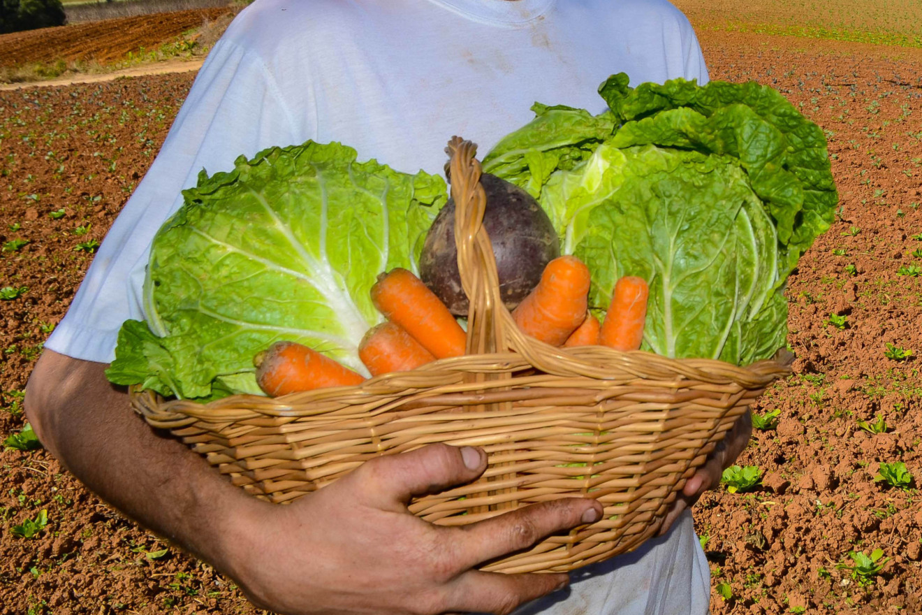 segurança alimentar