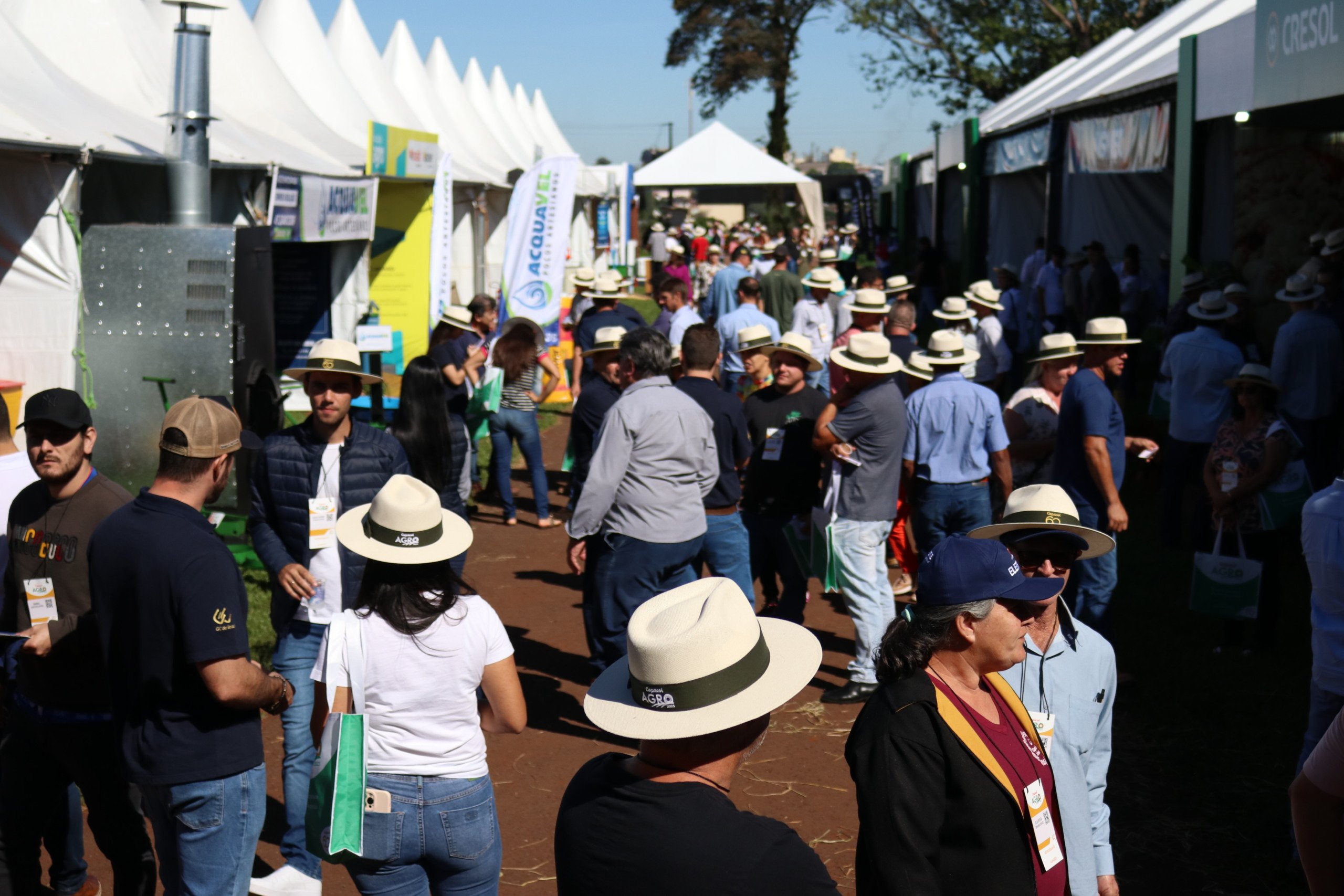 Copacol Agro vai atrair um número expressivo de cooperados, a exemplo das edições anteriores. Foto Vandré Dubiela / O Paraná