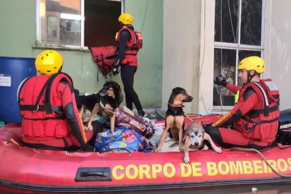A operação das forças paranaenses ajudou a resgatar mais de mil pessoas e 500 animais de locais perigosos e de risco