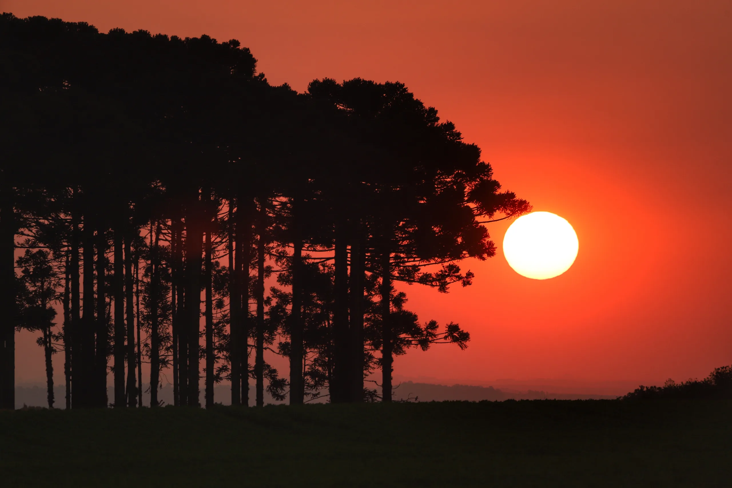 Paraná vai enfrentar um inverno atípico