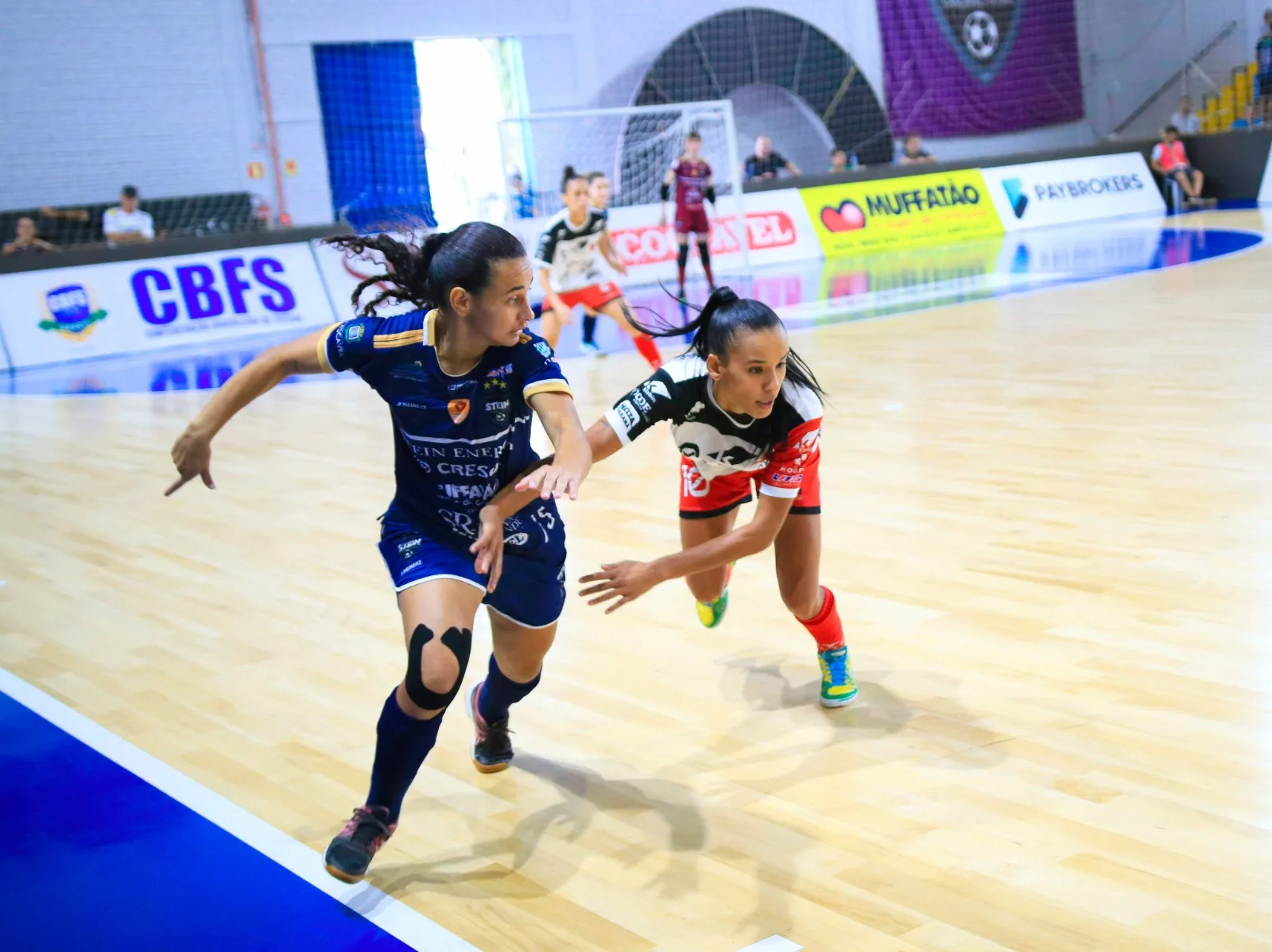 Stein vem de vitória da LFF e defende título da Copa Mundo. Foto: Celso Dias