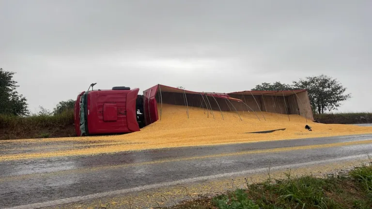 Apesar do susto, o motorista não ficou ferido; a carga de milho ficou espalhada pela via, deixando o trânsito lento no local. Foto: Luiz Felipe Max/SOT