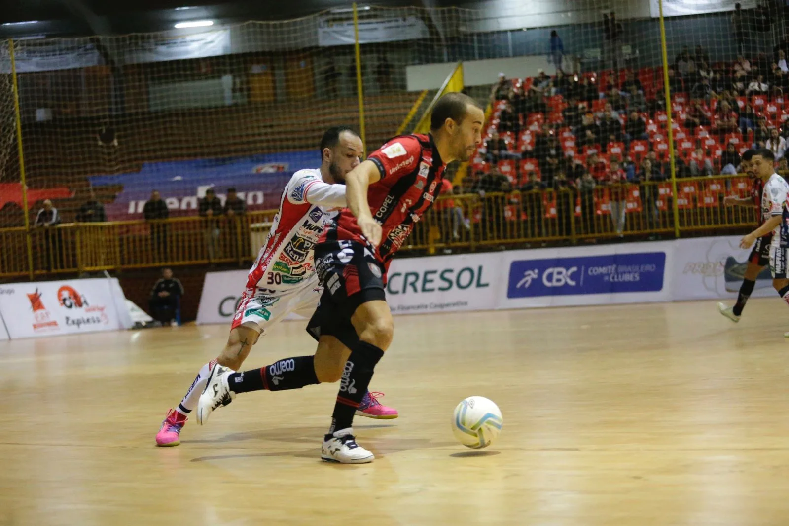 A Serpente agora volta às atenções para a Série Ouro. Na quarta-feira (17), recebe o Mangueirinha Futsal no Ginásio da Neva. Foto: staff agency