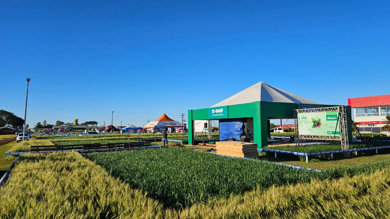 O evento acontece no Parque Tecnológico da Coopavel, no km 577, às margens da BR-277