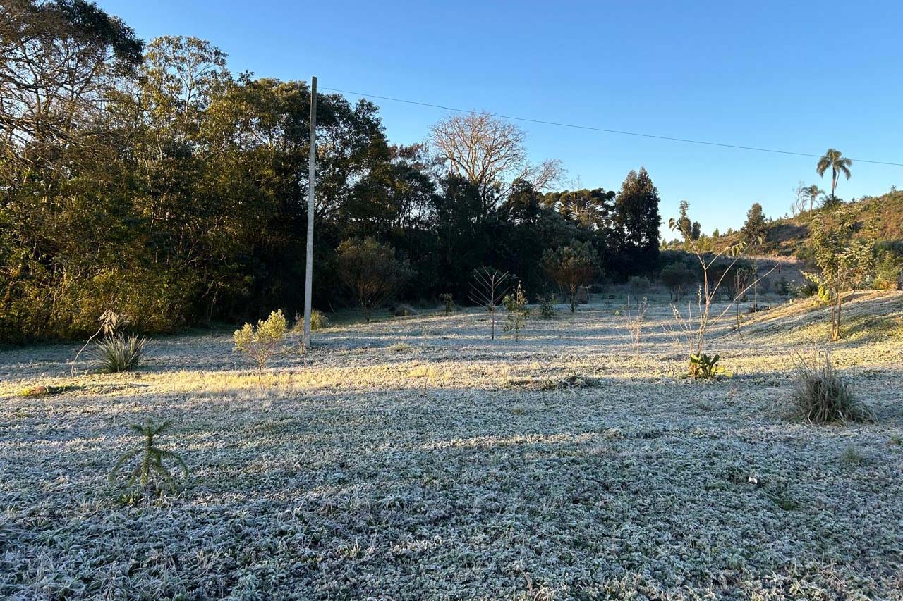 Em vários municípios as temperaturas foram as menores do ano, como no caso de Curitiba, que teve mínima de 1,4°C