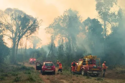 Temperaturas elevadas, baixa umidade relativa do ar e chuvas escassas são alguns dos fatores que contribuem para a proliferação do fogo - Foto: CBMPR