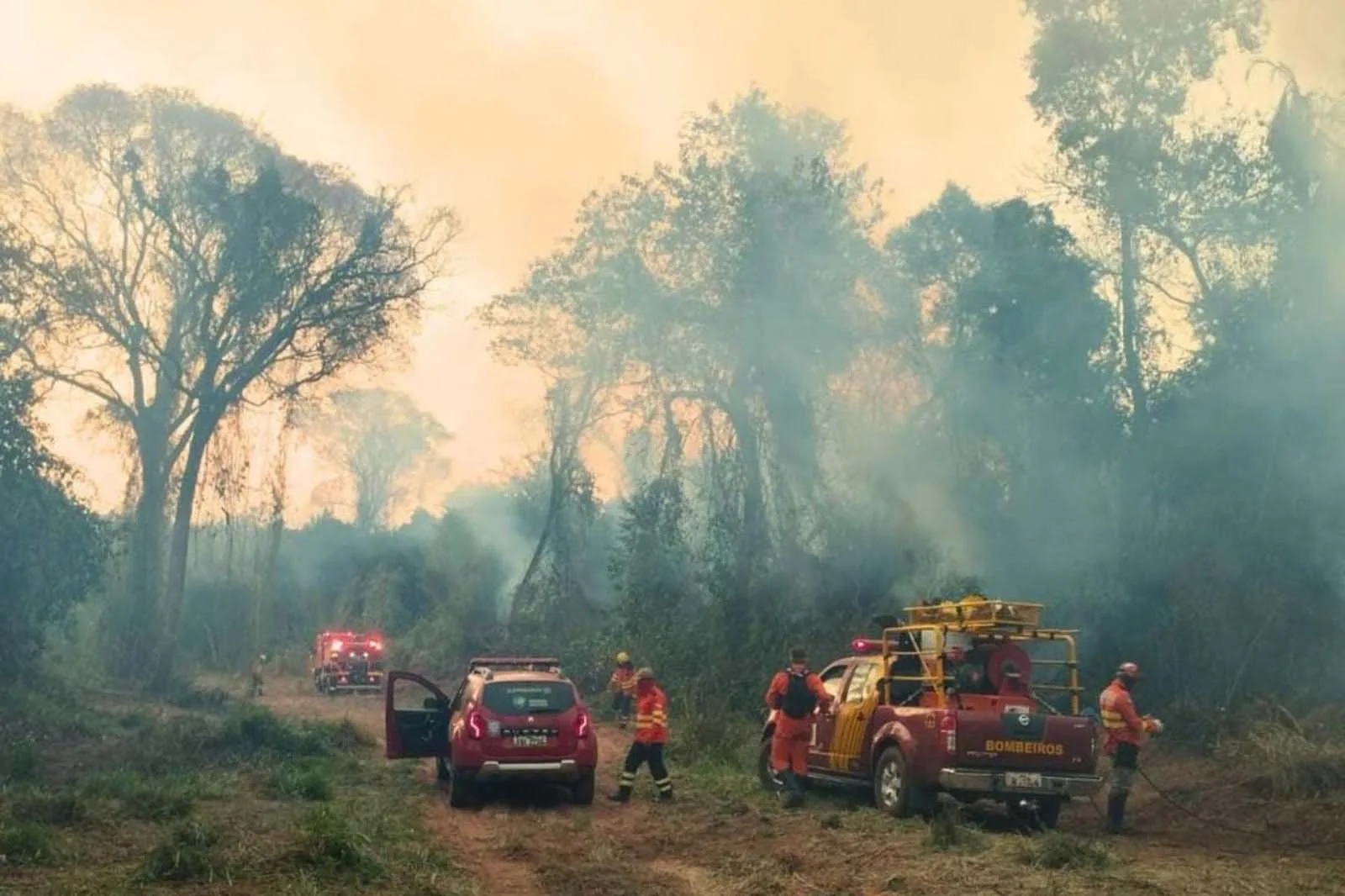 Temperaturas elevadas, baixa umidade relativa do ar e chuvas escassas são alguns dos fatores que contribuem para a proliferação do fogo - Foto: CBMPR