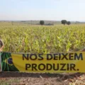 Jean Ferreira e sua irmã, Adelisa Ferreira, proprietários da Fazenda Brilhante, invadida por indígenas desde o dia 7 de julho. Foto: FAEP/Divulgação