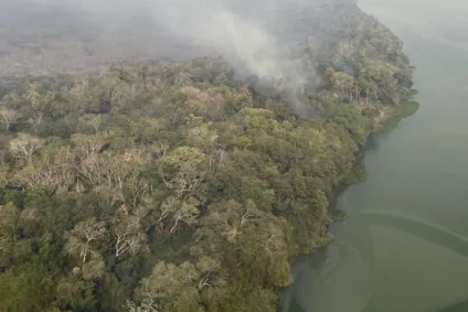 Os incêndios florestais dos últimos dias alteraram os níveis de Partículas Inaláveis e Respiráveis do ar no Estado, causando uma elevação acima da média dos poluentes - Foto:  IAT-PR