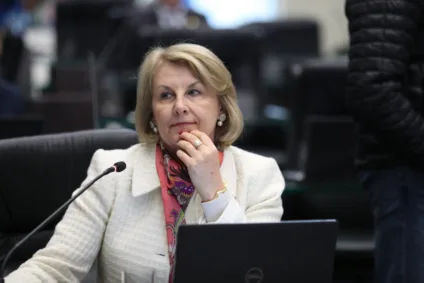 Especialistas e gestores, convidados pela deputada Márcia Huçulak (PSD), pretendem avaliar ações e medidas para criar um ambiente digital seguro e positivo -  Foto: Assessoria Parlamentar