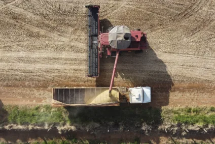 Entenda as tendências do setor agropecuário no Brasil: dados recentes revelam saldo negativo de empregos e queda nas atividades agrícolas - Foto Jonathan Campos / AEN