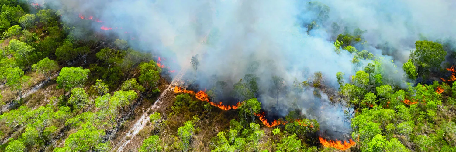 Focos de incêndio alteram a qualidade do ar no Paraná, mas índice segue aceitável