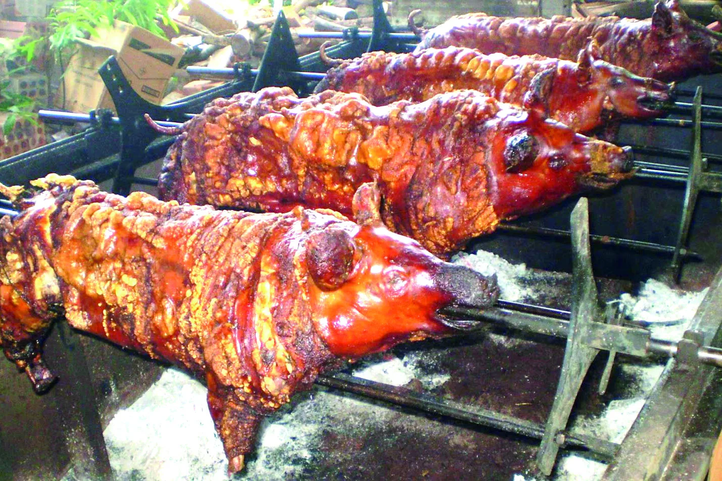 Toledo, na região Oeste do estado  Festa Nacional do Porco no Rolete -