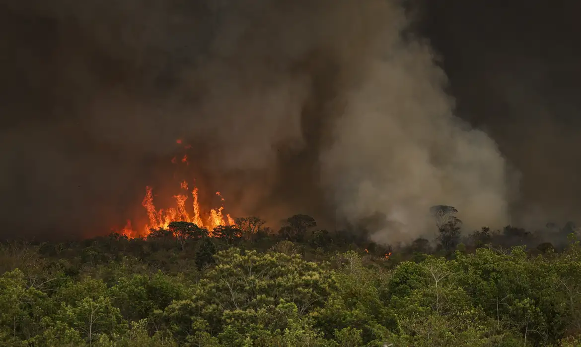 Confederação Nacional dos Municípios estima prejuízo de R$ 1,1 bilhão - Foto: Marcelo  Camargo/Agência Brasil 