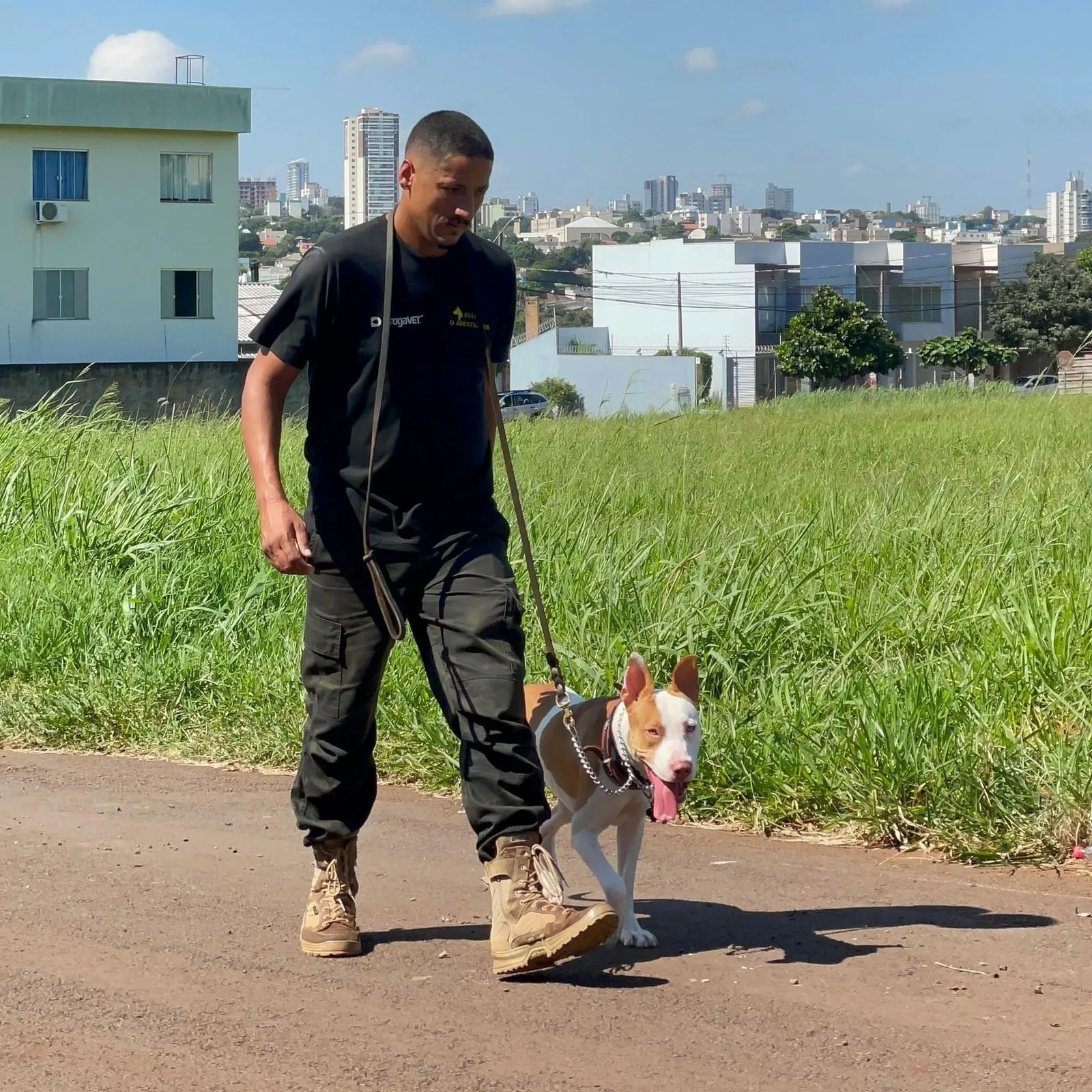 Ataques de cães podem resultar em responsabilidade criminal para os tutores