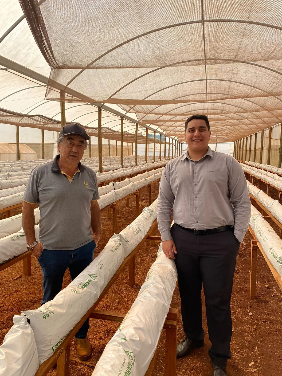 Associado da Sicredi Vanguarda PR/SP/RJ, na cidade de Cascavel herdou as raízes do pai na agricultura  - Foto:  Assessoria Sicredi 
 