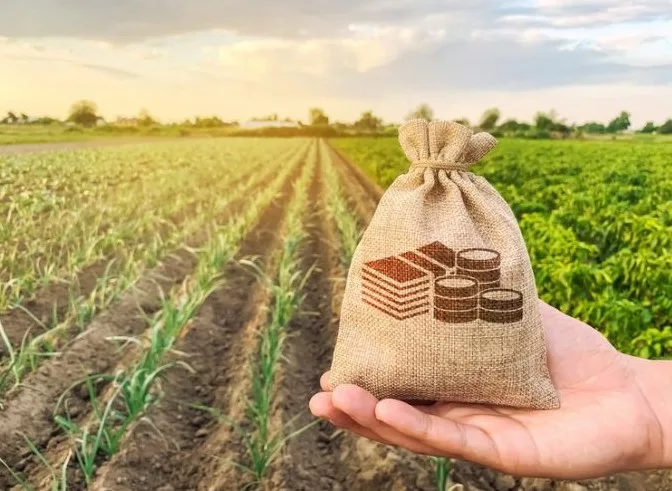 Reforma tributária ameaça a competitividade do agronegócio e pode gerar demissões