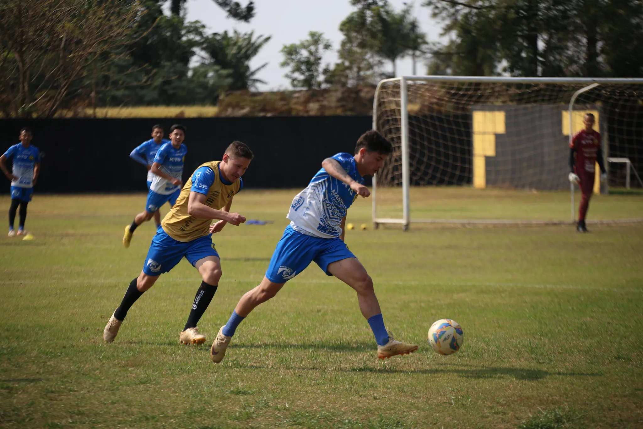 De olho na Copinha, Serpente faz estreia na Copa Sul Sub-20