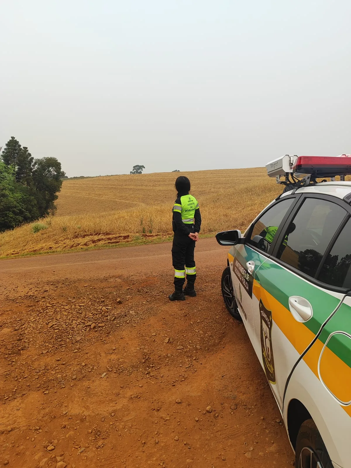 Transitar inicia operação especial para combater incêndios criminosos em Cascavel. Saiba mais sobre as medidas tomadas para prevenir queimadas e proteger a população - Foto: Secom