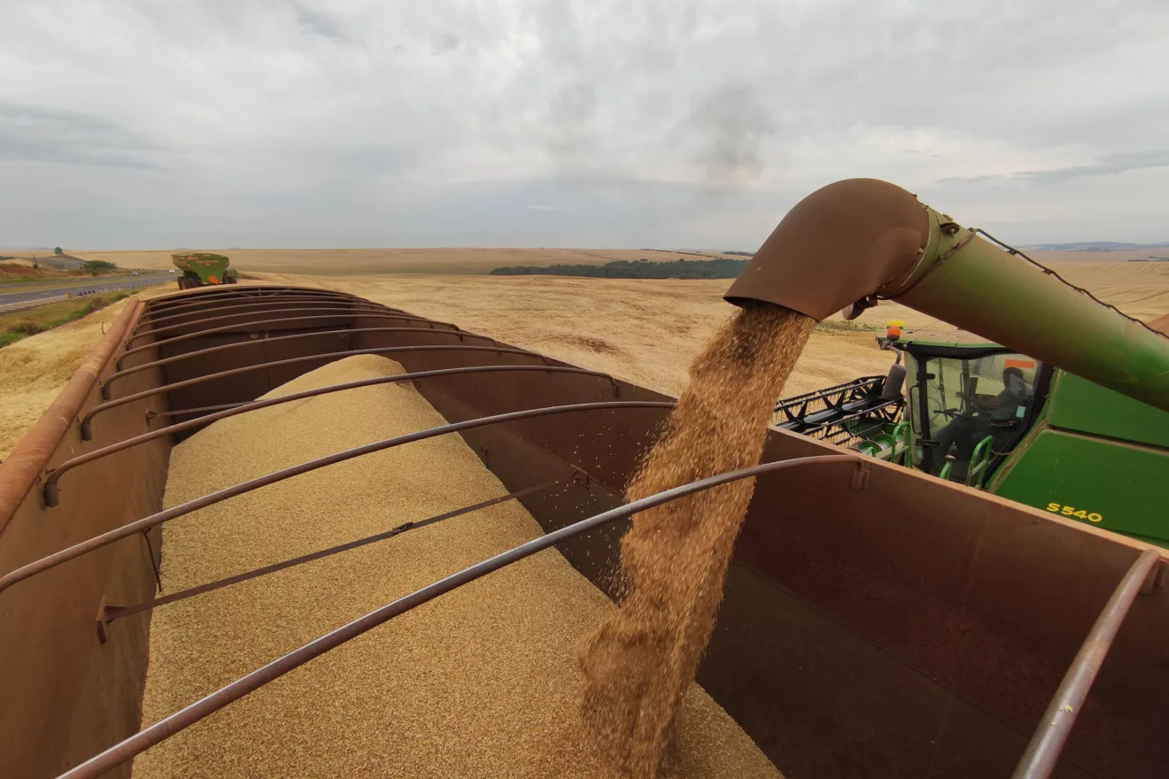 Números são da última projeção 2023/2024 da Conab - Foto: Agência Brasil
Números são da última projeção 2023/2024 da Conab - Foto: Agência Brasil