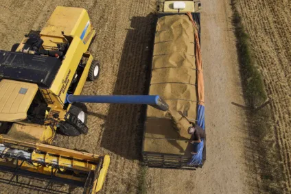 Entenda a situação atual do crédito rural em Cascavel e como a elevação da taxa Selic pode afetar o Plano Safra 2025/26 - Foto: Arquivo AEN