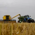 Plantação de trigo, região de Tibagi/Pr
Foto Gilson Abreu/AEN