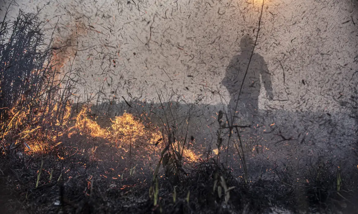 Saiba mais sobre as queimadas no Brasil: aumento de 76% nos registros de incêndios em 2023 comparado ao ano anterior - Foto: Mayangdi Inzaulgarat/Ibama