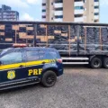 PRF apreende cerca de 450 mil maços de cigarro em Prudentópolis - Foto: PRF 