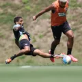 Com retorno de selecionáveis, Botafogo defende a liderança contra o Criciúma. Foto: Vítor Silva/ BFR