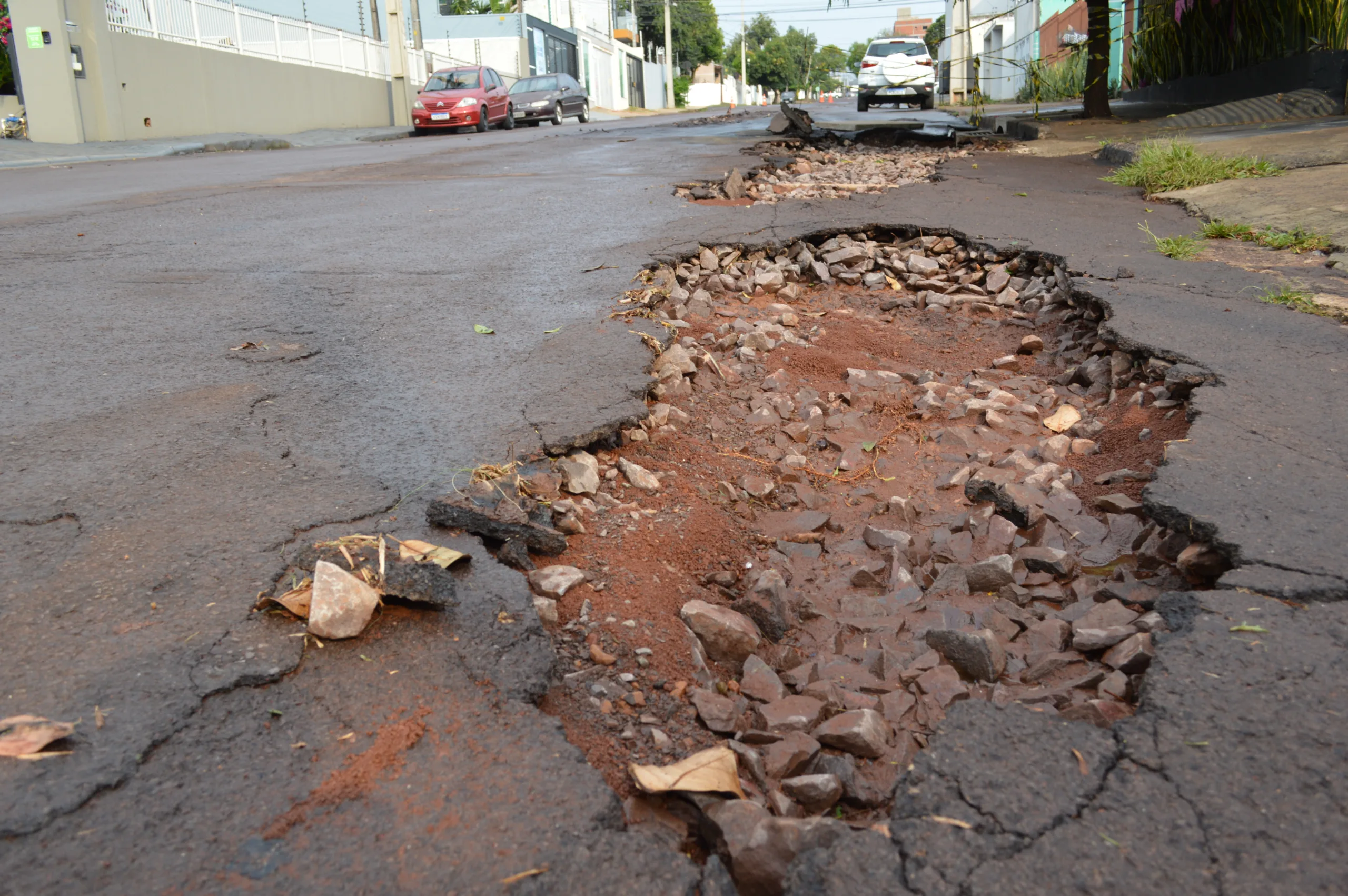 Foto: Paulo Eduardo/O Paraná