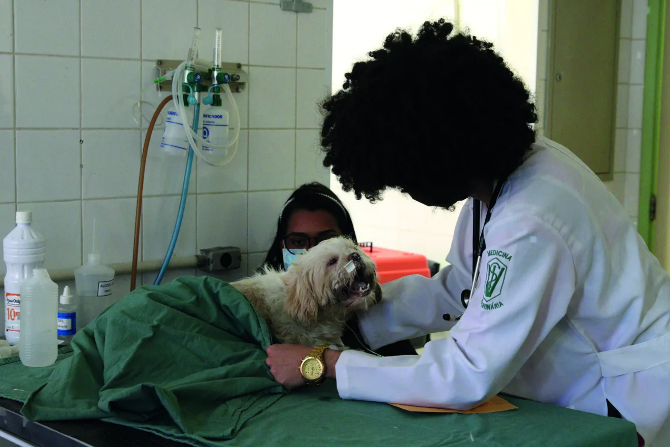 Hospital Veterinário Público Hospital Veterinário Público