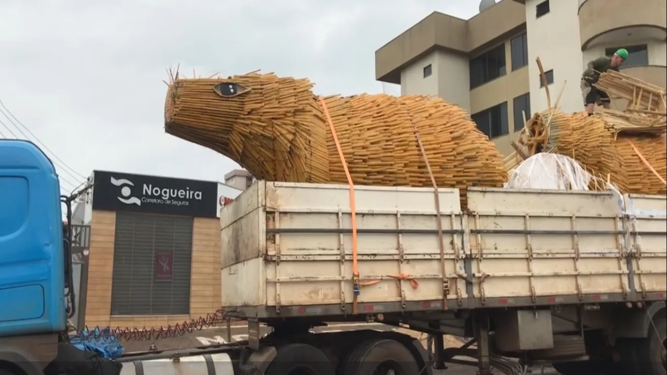 Acidente com 'capivara gigante' interdita Rua Paraná e deixa área sem energia elétrica