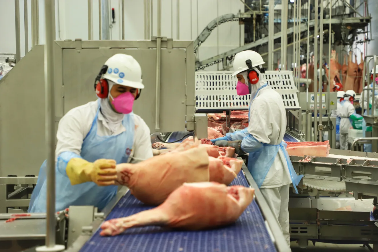 Brasil habilita 19 frigoríficos para exportar carnes para a África Brasil habilita 19 frigoríficos para exportar carnes para a África