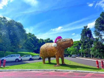 Prefeitura divulga programação de Natal com abertura no aniversário da cidade
