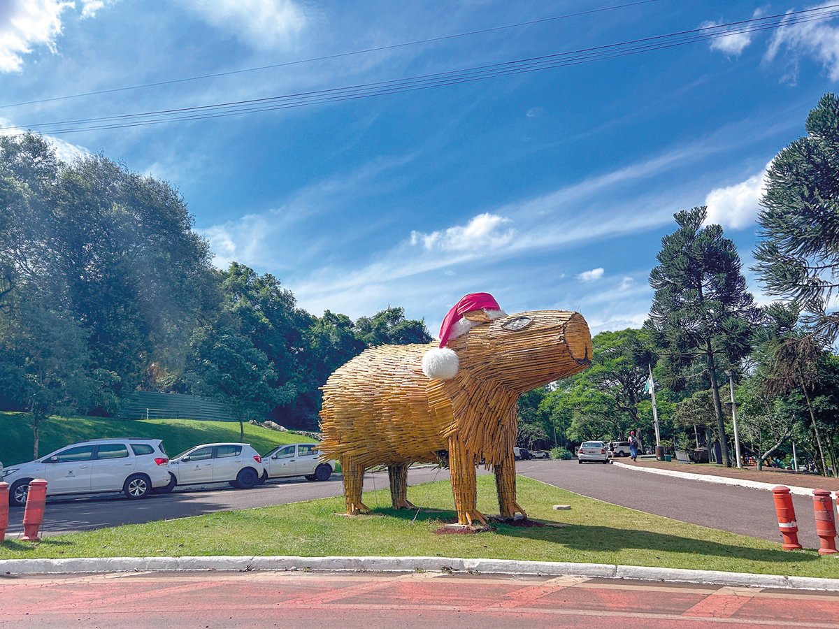 Prefeitura divulga programação de Natal com abertura no aniversário da cidade