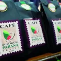 Conheça os detalhes que fazem a diferença na comercialização do café Paraná. Saiba como a produção e o processamento influenciam a qualidade e o valor - Foto: FAEP