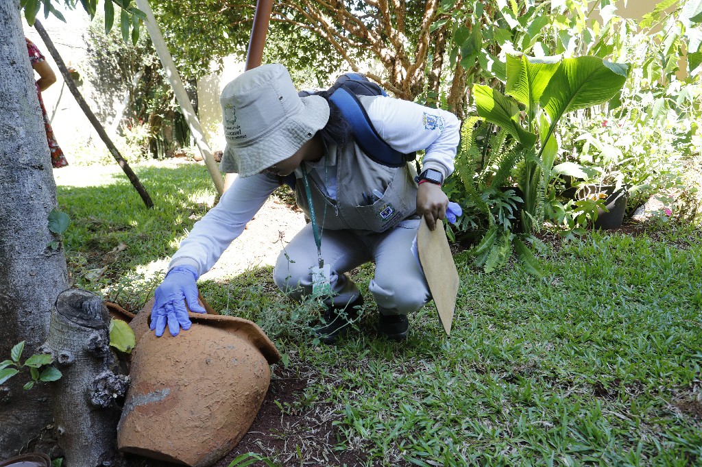 Confira o resultado do último ciclo do LIRAa sobre a infestação de dengue na cidade. Saiba como evitar uma nova epidemia da doença - Foto: Secom