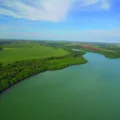 Descubra os efeitos climáticos e sua prevenção por meio do mapeamento de solos e vegetação fluvial no Paraná - Foto: Divulgação