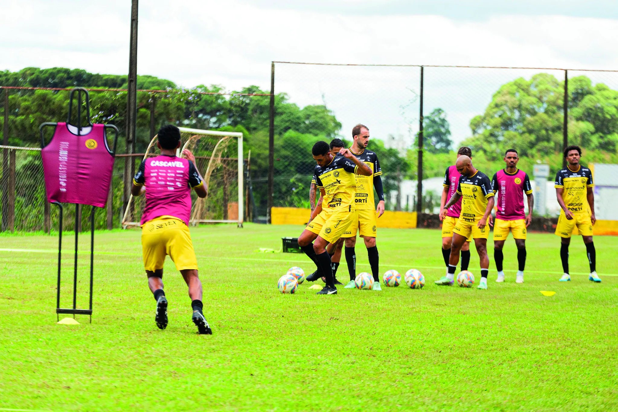 O time aurinegro participa pela primeira vez da competição