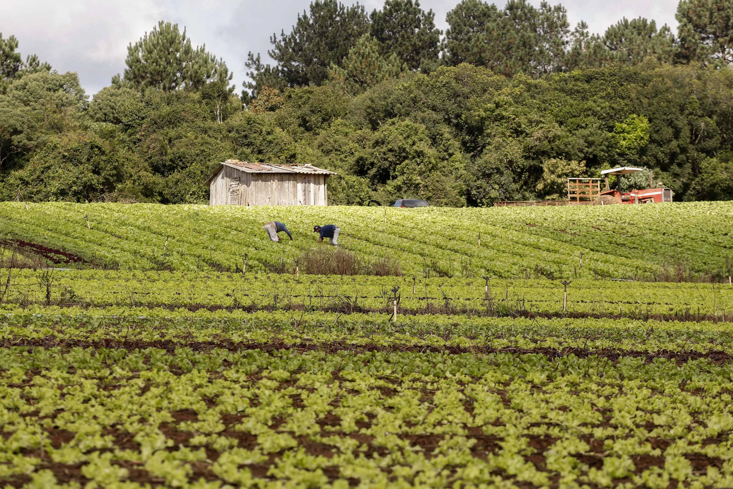 Agora na agricultura familiar será possível renegociar dívidas