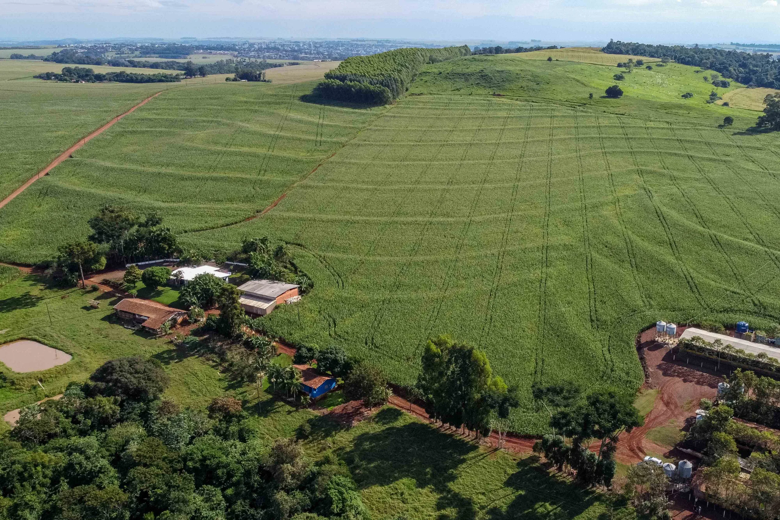 Em 15 anos o Seguro Rural do Paraná desembolsou cerca de R$ 88,6 milhões