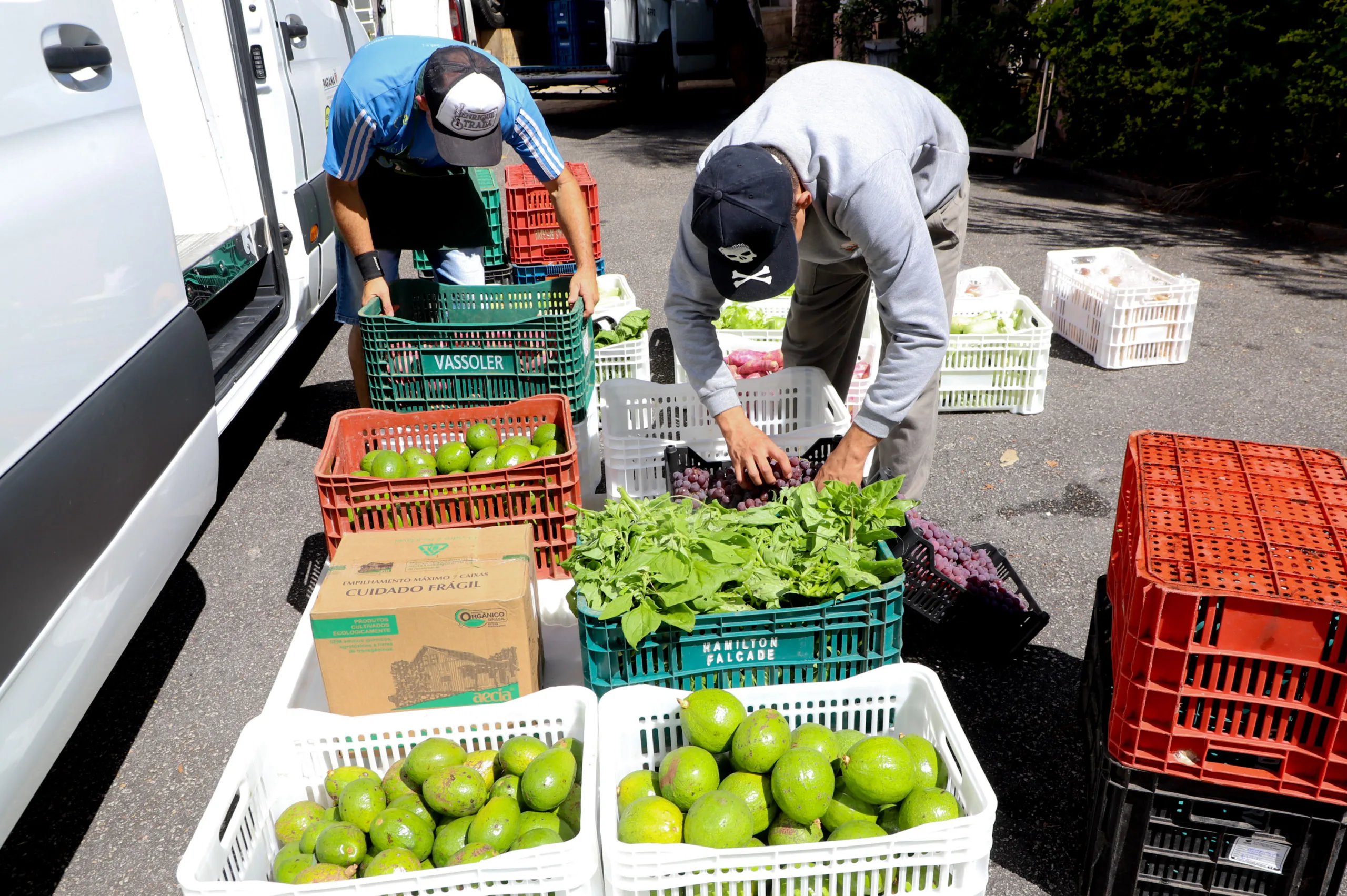 Conheça o programa Compras Regionais Paraná e saiba como as micro e pequenas empresas têm uma presença significativa nas licitações do estado - Fotos: Ari dias/AEN