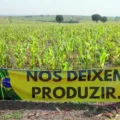 Projeto deve proteger proprietários contra invasões de terra