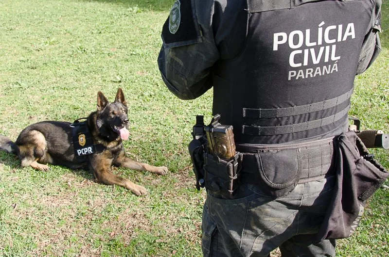 Foto: Fábio Dias/EPR