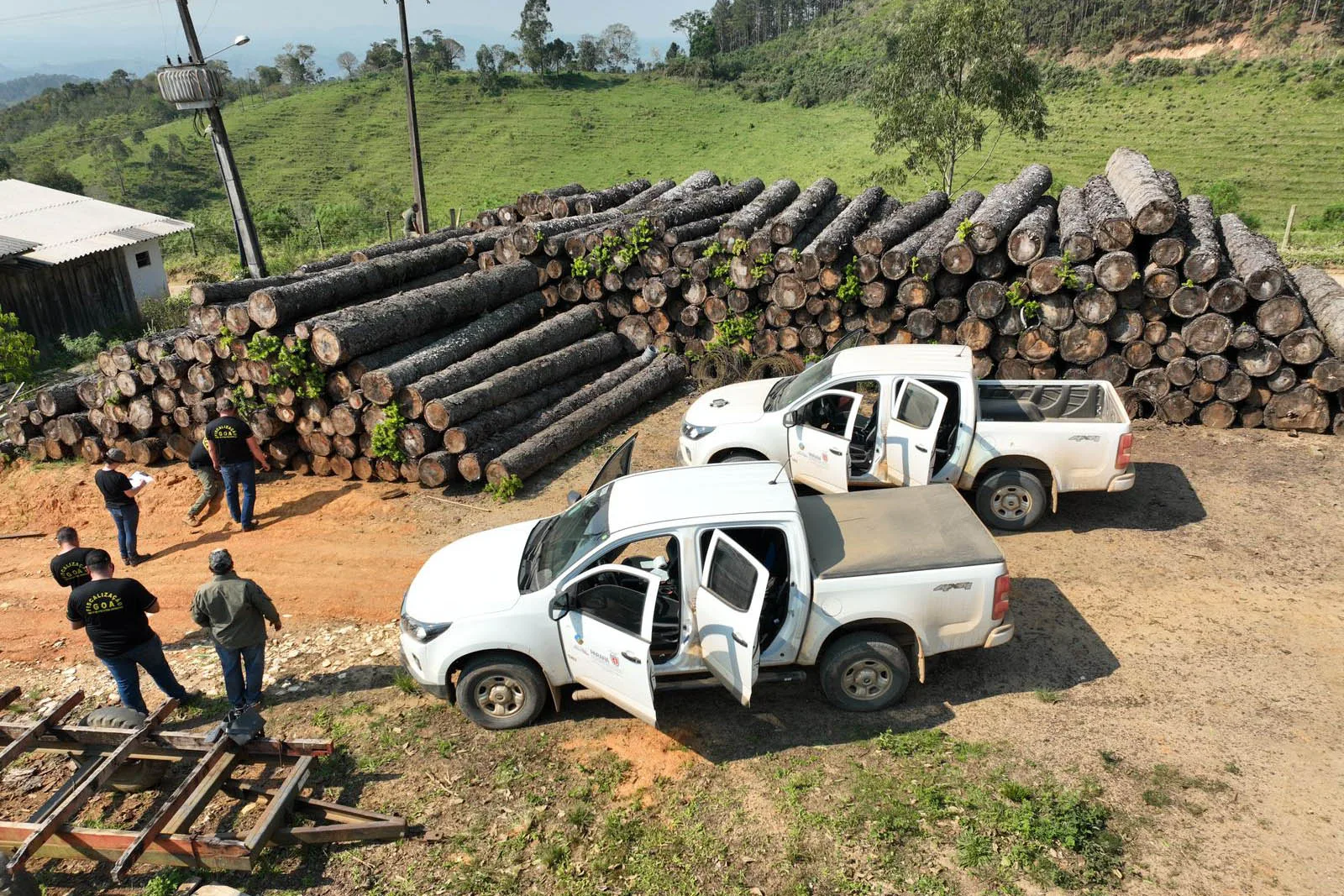 Aumento de 24,96% em multas por desmatamento ilegal no Paraná. Dados revelam danos à flora e aumento no número de autos de infração ambiental - Foto: IAT