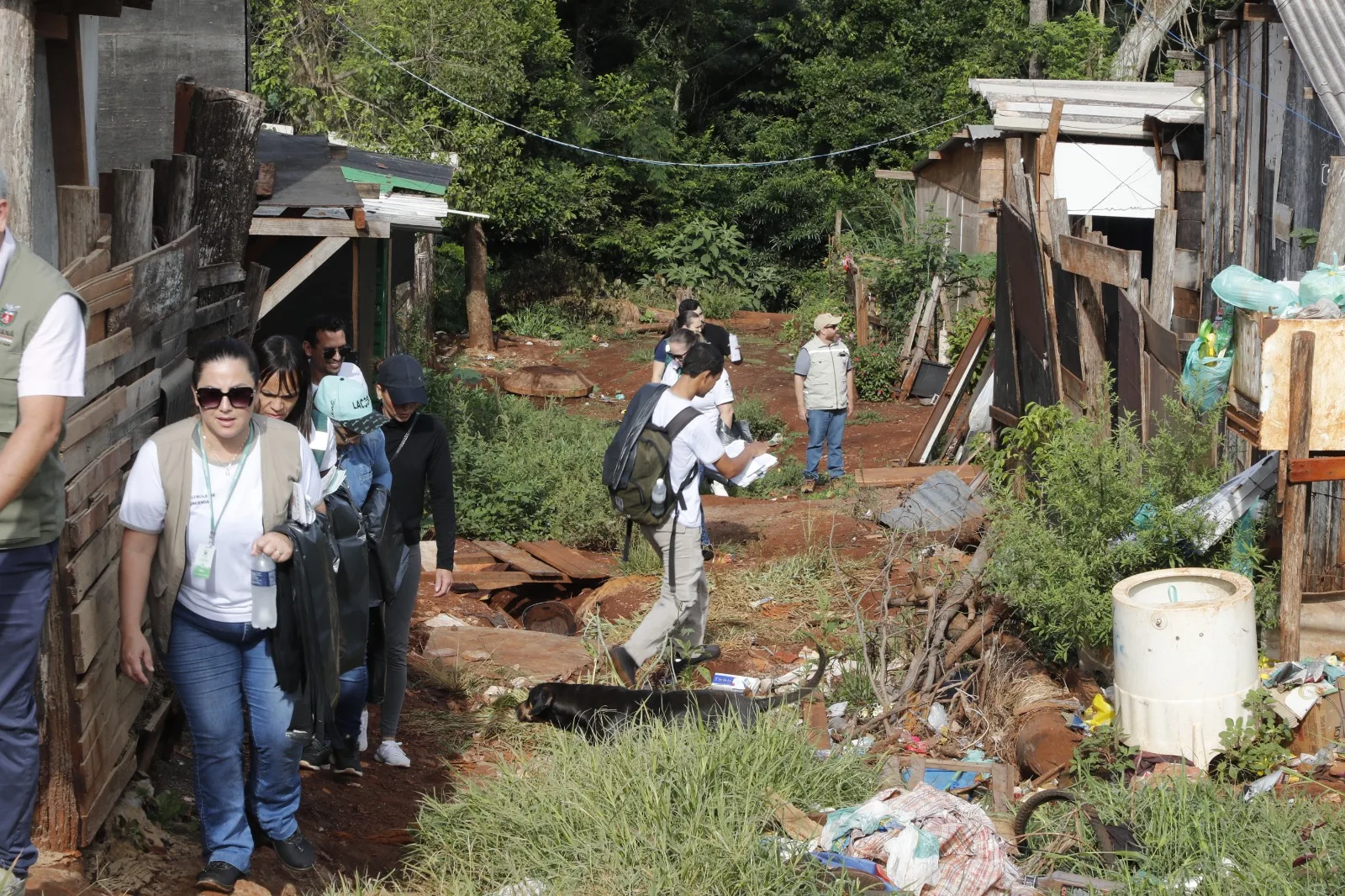 Preocupação com surto de chikungunya coloca a dengue em segundo plano. Entenda os casos recentes de doenças transmitidas pelo Aedes aegypti - Foto: Secom