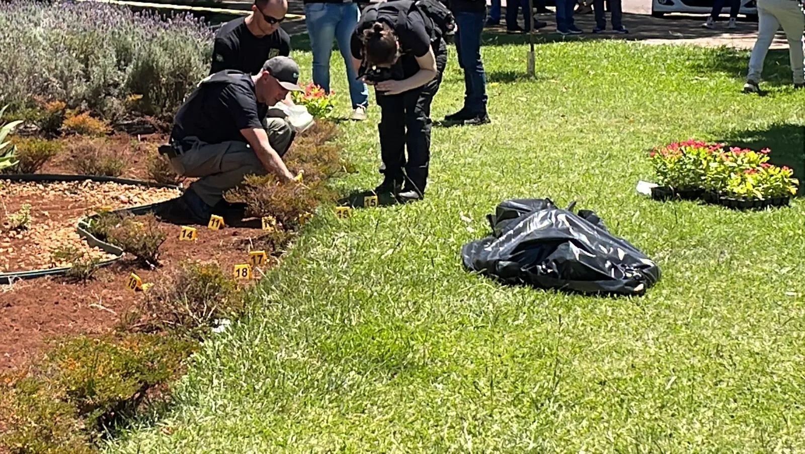 Morte de apenado em frente ao Paço de Cascavel é lamentada pela Prefeitura. Autoridades já estão tomando as providências necessárias - Foto: SOT