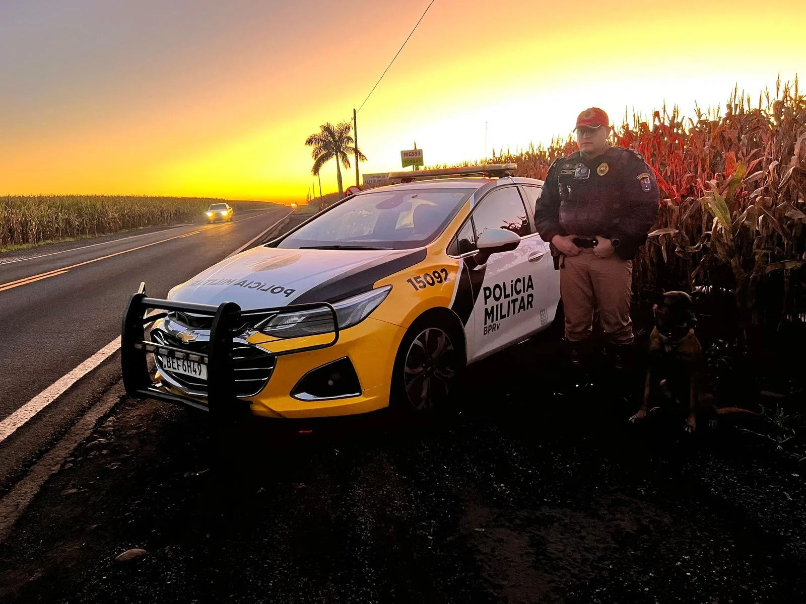 Conheça as melhorias nas operações e fiscalizações do Batalhão de Polícia Rodoviária (BPRv) do Paraná. Redução de óbitos, aumento nas apreensões - Foto: BPRV 